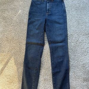 Everlane Organic Cotton Skinny Jeans